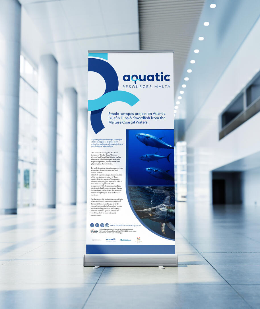 Rollup Banner