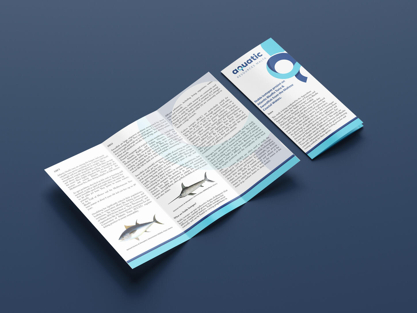 Tri Fold flyers