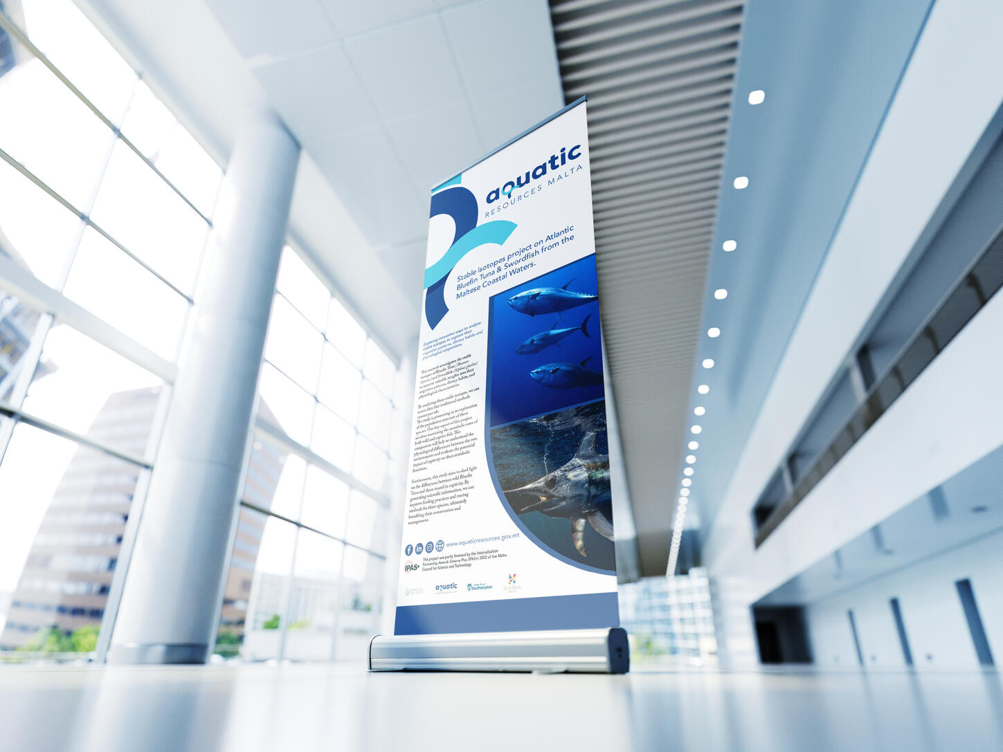 Rollup Banner